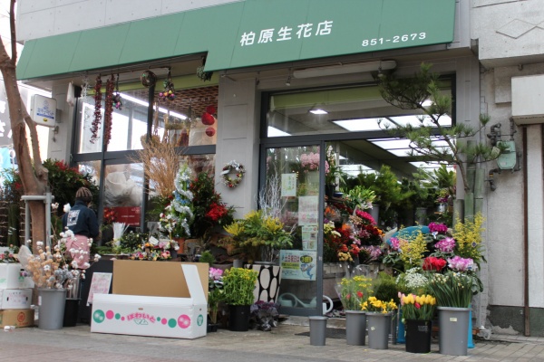 おしゃれなお店がたくさん 片原町にある素敵な花屋さん Pathee パシー